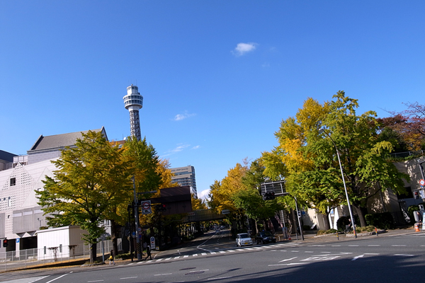 101116 yamasita park RIMG4179.jpg